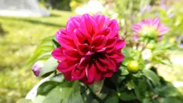 DSCF1971.webp