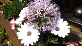 DSCF1975.webp
