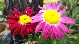 DSCF1979.webp