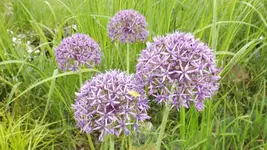 DSCF2033.webp