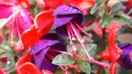 DSCF2122.webp