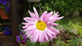DSCF2021.webp