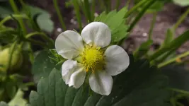 DSCF2059.webp