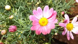 DSCF2156.webp