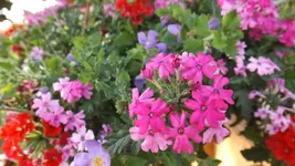 DSCF2160.webp