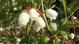 DSCF2173.webp