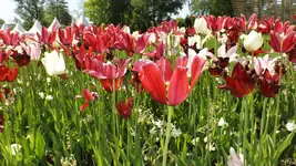 DSCF1918.webp