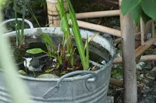 DSCF1153.webp
