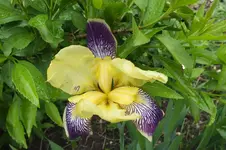 DSCF1114.webp