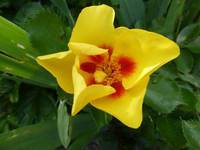 P1410143.webp
