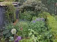 DSCN2444.webp