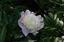 IMG_8600.webp