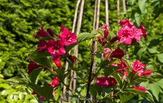 IMG_8628.webp