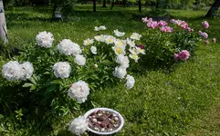 IMG_8642.webp