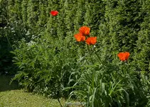 IMG_8646.webp