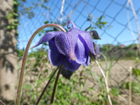 P1360572.webp
