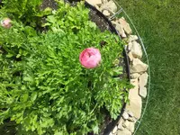 20150601_143230.webp