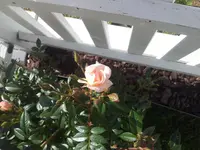 20150528_090511.webp