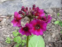 019_1024x768.webp