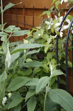 _DSC8264.webp
