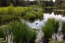 i05.webp