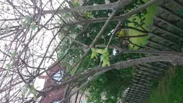 20150601_213258.webp