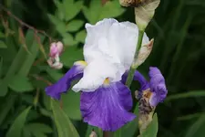 DSC01816.webp