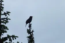 DSCF1163.webp
