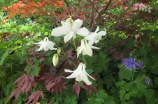 DSCF1179 (2).webp