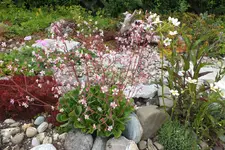 DSCF1182.webp