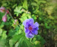 DSCF1193 (5).webp
