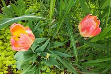DSCF1187 (2).webp
