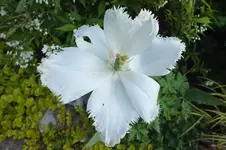 DSCF1194.webp
