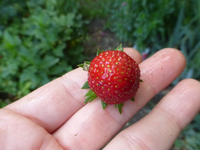 P1410740.webp