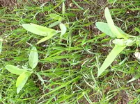 image.webp image.webp