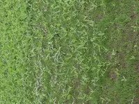 image.webp image.webp