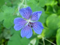 DSCN8841.webp
