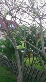 20150601_213258.webp