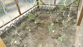 DSCF2309.webp