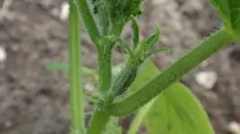 DSCF2082.webp