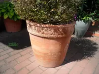 SAM_2504.webp