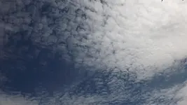 DSCF2299.webp