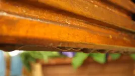 DSCF2131.webp