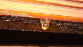 DSCF2133.webp