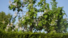 DSCF2310.webp