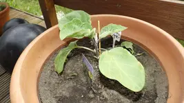DSCF2302.webp