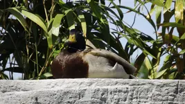 DSCF1916.webp