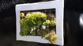 DSCF1919.webp