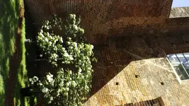 DSCF1922.webp