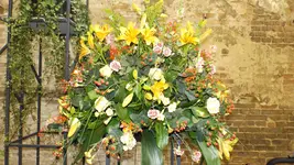DSCF1924.webp